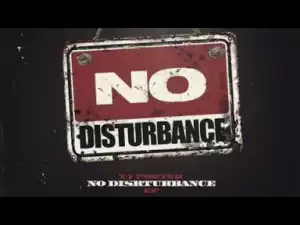 No Disturbance BY TJ Porter